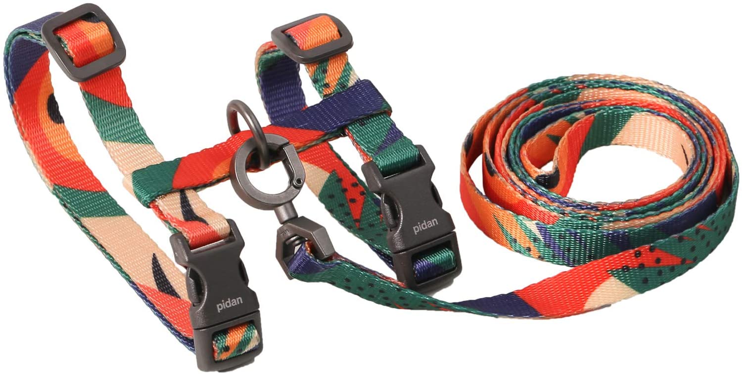 harness and leash set for cats