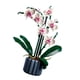 thumbnail image 4 of 608 piezas de bloques de construcción de Phalaenopsis para niñas, ejercicios exquisitos, habilidades prácticas, juegos de construcción de ramos de flores, 4 of 12