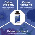 thumbnail image 3 of LifeSeasons Rest-ZZZ Melatonin Free - Sleep Support Supplement - Calms Nervous System - Eases Restlessness & Nerve-Related Sleeplessness - Magnesium GABA & Chamomile - 60 Capsules, 3 of 5
