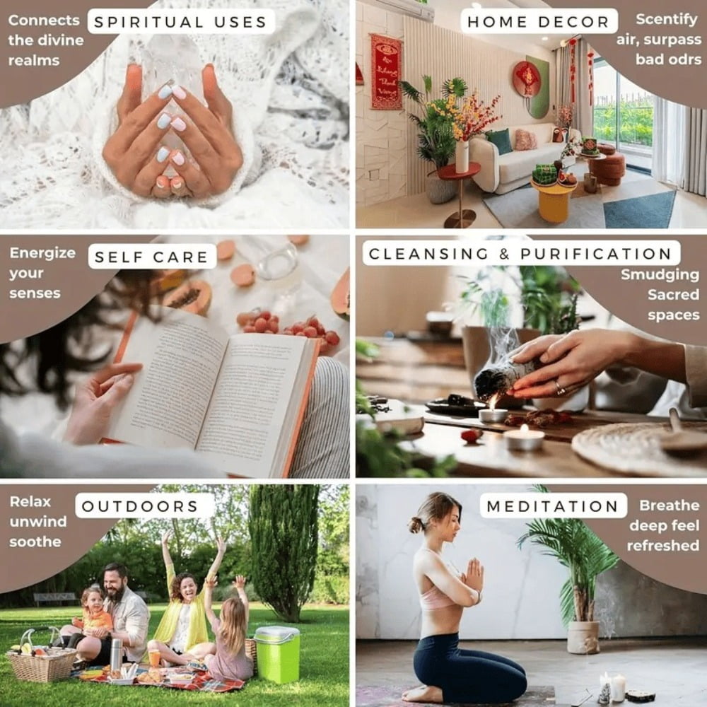 6 Fruit Flavors Incense Sticks with Rich Fruity Aromas such as Cantaloupe Strawberry Watermelon etc. 25.5cm/ 10.04in Perfect for Yoga Meditation and Enhancing Party Atmosphere - 102pcs