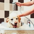 thumbnail image 6 of Bio-Groom Natural Oatmeal Anti-Itch Dog Shampoo & Conditioner  Set – Soothing Pet Wash & Creme Rinse – 12 oz Each | MerlinsMart Zine + Rope Toy, 6 of 9