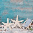 thumbnail image 5 of Beige Pencil Finger Starfish For Wedding Decor, Home Decor And Craft Project(6pcs, Beige), 5 of 5