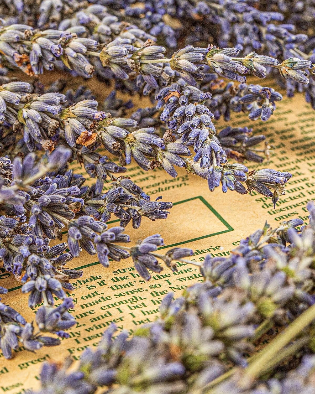 120PCS Dried Eucalyptus & Lavender for Shower 17'' Natural Real Eucalyptus Leaves Lavender Shower Plants Hanging for Bathroom Home DIY Decoration