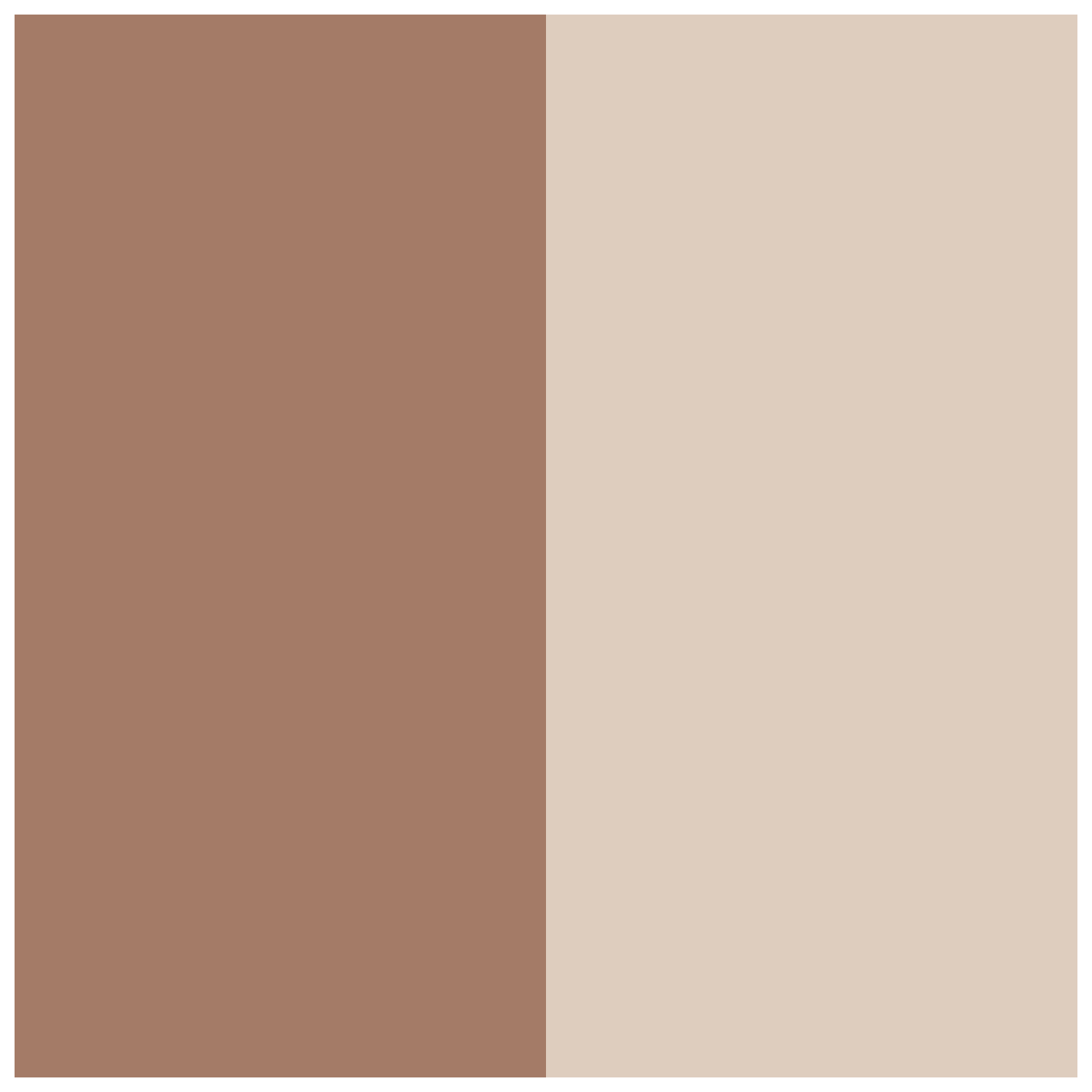 Coffee/Sand Dollar