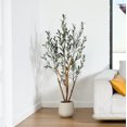 thumbnail image 3 of DR.Planzen Artificial Plants, 5ft Fake Olive Tree with Oval White Planter, Artificial Olive Plants with Realistic Leaves and Natural Trunk, Fake Plants for Home Decor, 3 of 5