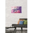 thumbnail image 2 of Fruits Basket - Kureno Soma Wall Poster, 14.725" x 22.375", 2 of 5