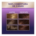 thumbnail image 3 of Tinte para cabello Koleston Permanente 435 rosado marron dorado, 3 of 4