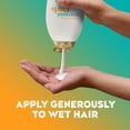 thumbnail image 4 of Champú hidratante OGX Quenching + Coconut Curls 750 ml, 4 of 8