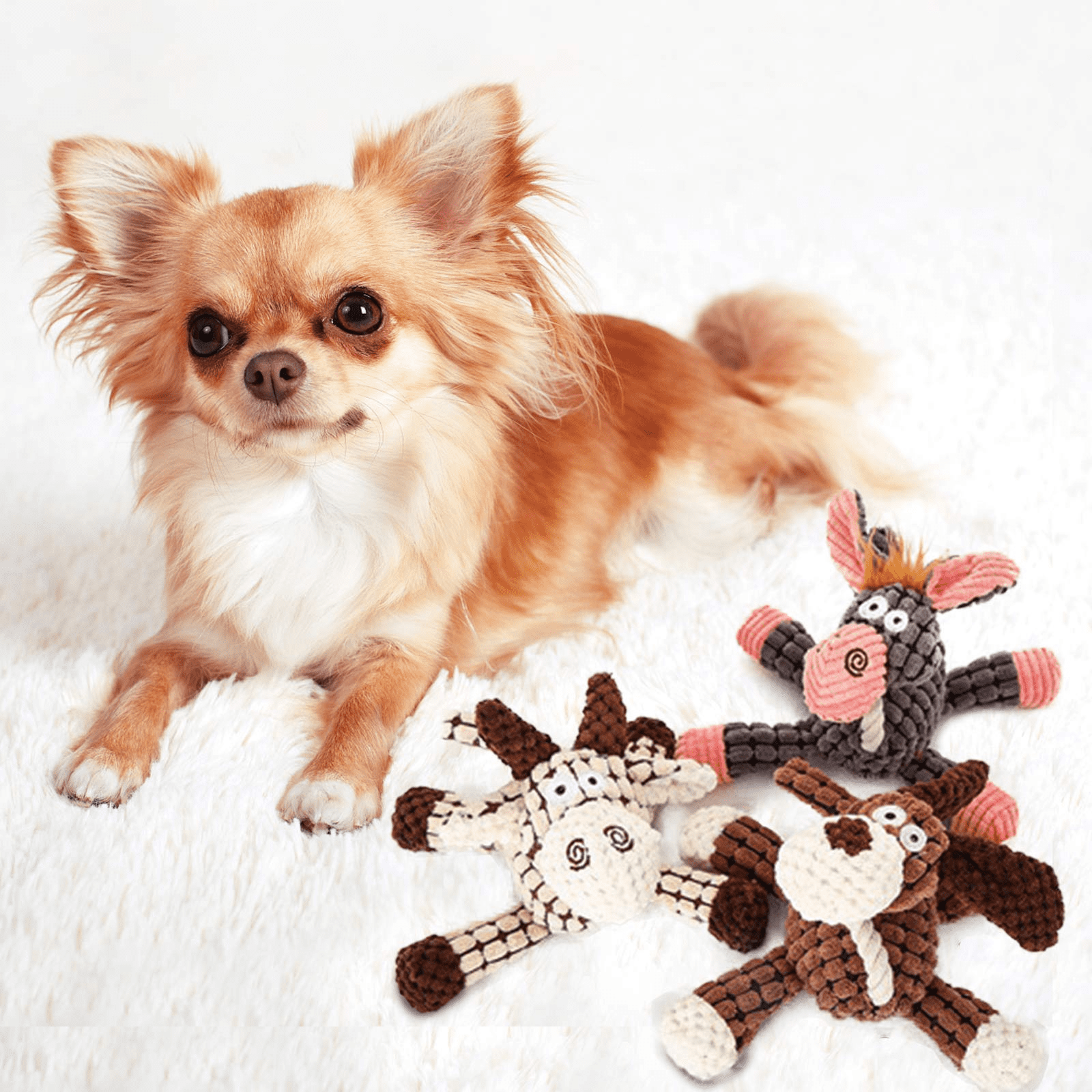 Squeaky Dog Toys Small Dog Toys, 3 Pack Puppy Toys Stuffed Animal Dog Toys, Puppy Chew Toys with Squeaker, Donkey Stuffed Dog Toys for Puppies, Plush Dog Toy Pack, Dog Toys for Medium Dogs