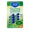 Berkley Jensen 2 mg Mini Mint Nicotine Lozenges - 189 Lozenges
