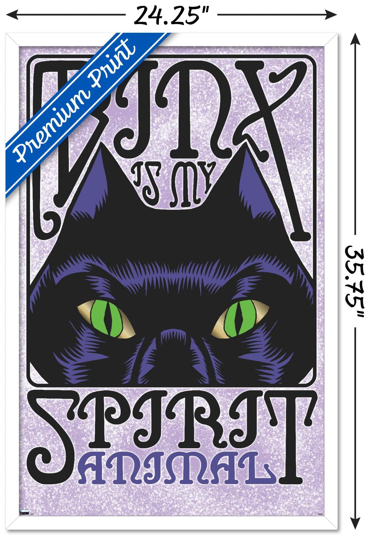 Disney Hocus Pocus - Binx Wall Poster, 22.375" x 34", Framed