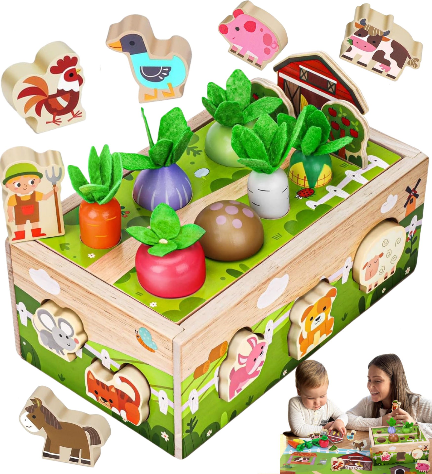 Celecstan Montessori Educational Toys for 1 2 3 Year Old, Toddler Toys 1 2 3 Year Old Boy Girl, Wooden Shape Sorting Toys Birthday Gifts for 1 2 3 Year Old Boy Girl