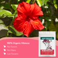 thumbnail image 2 of Super Value Pack 5 LB – Organic Hibiscus Flowers – Loose Leaf Hibiscus Tea – Caffeine Free Roselle Tea – Dried Flor de Jamaica for Tea Blends & Infusions, 2 of 9
