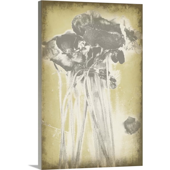 Great BIG Canvas | "Poppies in Relief I" Canvas Wall Art - 20x30