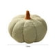 thumbnail image 3 of Fiudx Cojines Decorativos de Calabaza con Temática Otoñal, Diseño Suave En Forma de Calabaza, Decoración para Fiestas En Casa o En La Oficina, Acogedor Ambiente Otoñal, Tamaño 20 X 12 Cm, Juego de 1, 3 of 5
