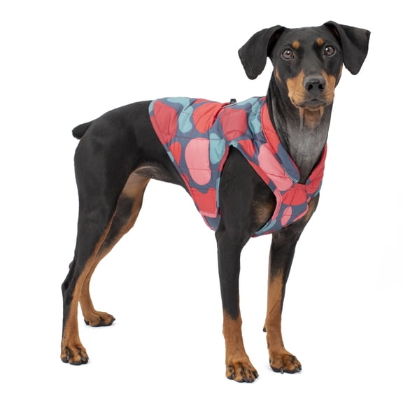 Kurgo Loft Dog Jacket, Reversible Dog Coat, Wear with Harness or Sweater, Lava Lamp, XL