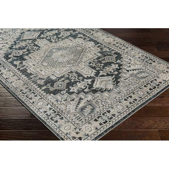 Hauteloom Calolbon Living Room, Bedroom Area Rug - Traditional - Taupe, Black, Teal - 5'3" x 7'3"