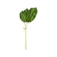 thumbnail image 2 of Matsuzay Hojas de palma verdes artificiales, decoración tropical no tóxica para cualquier evento, hoja de plátano de PU reutilizable y Type3 NO3, 2 of 6