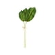 thumbnail image 2 of Inteprter Plantas de hojas de palma verdes, duraderas y reutilizables, para decoración del hogar, hojas de palma artificiales, hoja de plátano Type3 NO3, 2 of 6