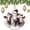 pattern-4, variant on Watercolor Dolphin Peace And Joy Christmas Christmas Ceramic Ornament Dolphins Swimming Double-Sided Ceramics Ornaments for Christmas Tree Decoration Xmas Party Decorations Funny Gifts for Women/Men