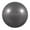 Silver, variant on GoFit Pro Grade Stability Guide Ball with Pump (55cm; Blue), GF-55PRO