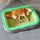 thumbnail image 4 of Dog Bed Super Soft Winter Warm Pet Sleeping Mat for Small Medium Dogs Cats Thicken Washable Dog Sofa Cushion Dog Accessories ShopWise Round, 4 of 9