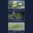 thumbnail image 4 of Cámara de pesca submarina HD: para visión nocturna y visión amplia de 220 ° para todos, 4 of 10