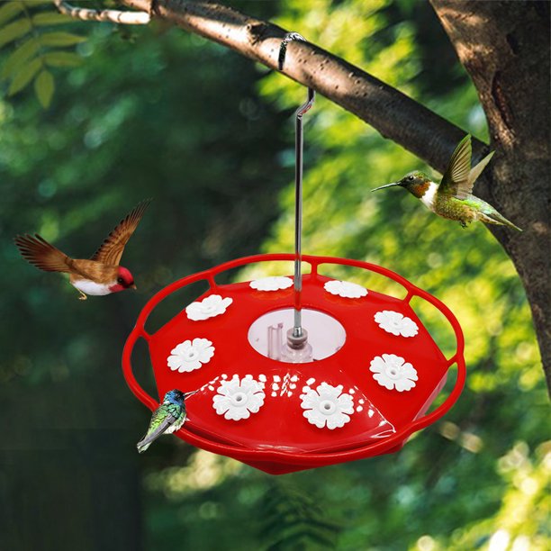 Alimentador de colibrí hormigón y abejas pájaros salvajes blancos