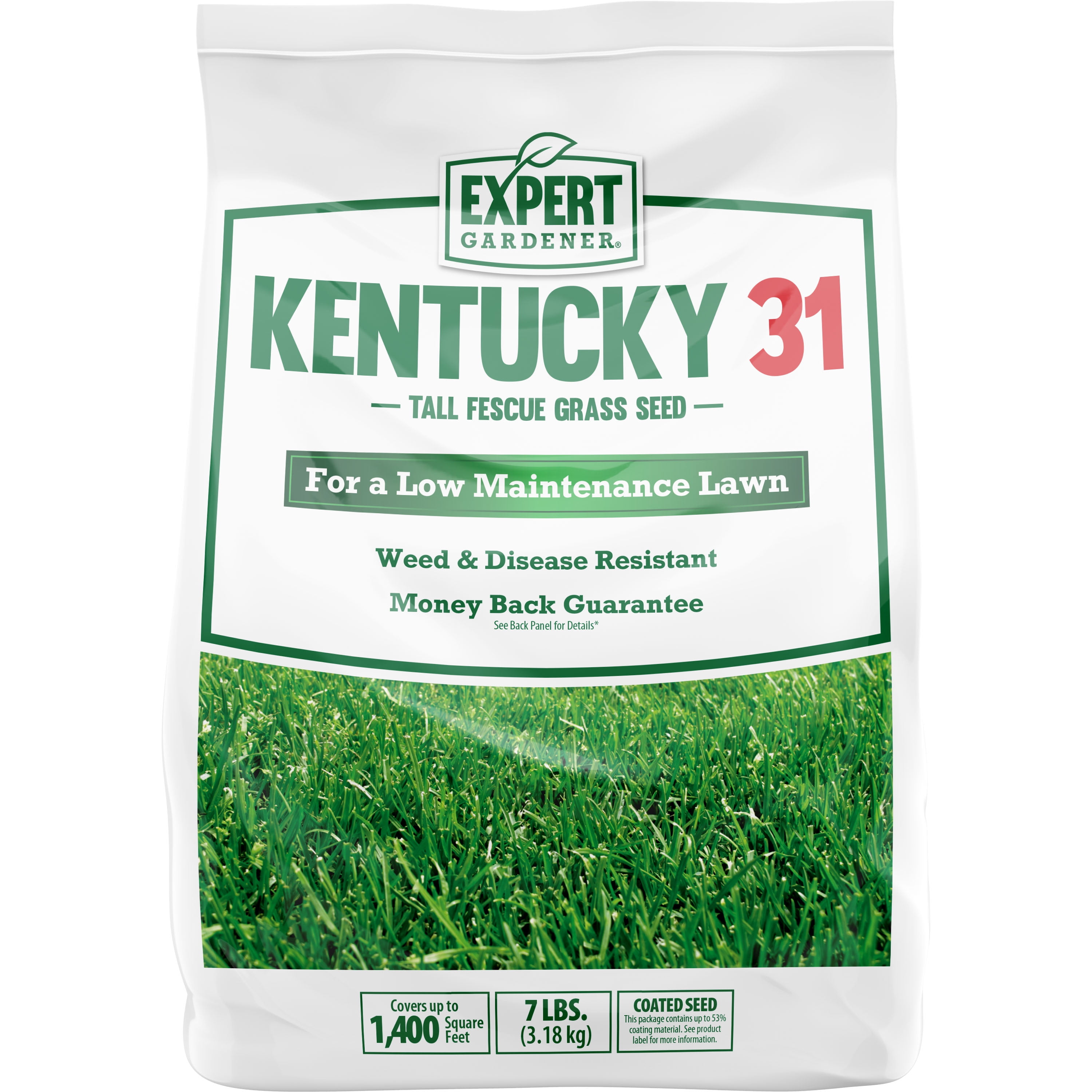 Expert Gardener Kentucky 31 Tall Fescue Grass Seed Mix For Sun To