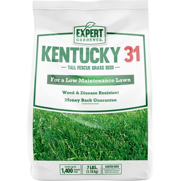 Expert Gardener Kentucky 31 Tall Fescue, KY31 Grass Seed; 7 Pound Bag