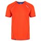 thumbnail image 1 of Regatta - Camiseta ligera modelo Virda II para hombre (Naranja Blaze/Azul Surfspray), 1 of 2