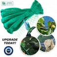 thumbnail image 6 of GARDEN SECRETS® Anti Bird Netting Pond Green Net Protection Tree Crops Plants Fruits Garden Mesh, 6 of 10