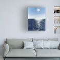 thumbnail image 4 of Canvas Wall Art - Michael Willett 'Solar Glitter II' Wall Art for Living Room, Bedroom, or Office Décor by Trademark Fine Art - 14 x 19 Inches, 4 of 4