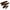 08 Deep Brown, variant on NYX Professional Makeup Powder Louder Brow Pencil, Blonde