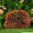thumbnail image 1 of BESTYASH Apiculture Lot de 100 Tubes à Abeilles Roseau Cylindrique pour Accouplement et Élevage 3.9 Pouces, 1 of 7