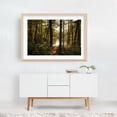 thumbnail image 6 of In the Woods at Puffers Pond, Amherst 04 - Amherst Massachusetts Photography Forest Woodland Nature Wilderness Scenic Lake Autumn Unframed Wall Art Print 5 x 7 inches, 6 of 7