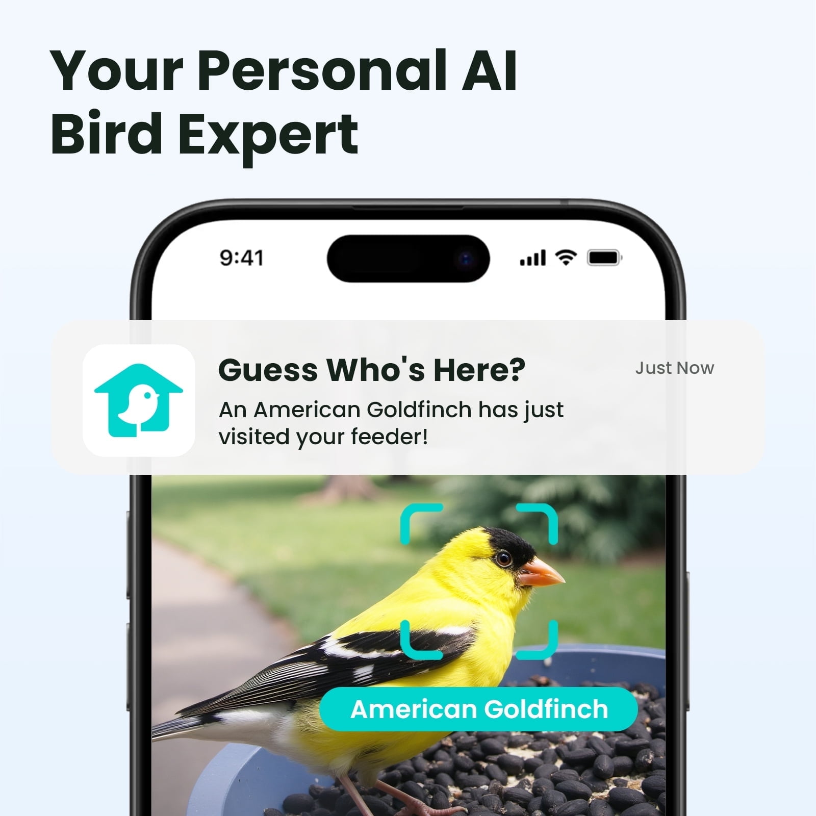 Birdfy Smart Bird Feeder with Camera, 60FPS Smooth Video, AI Bird Identification & Instant Alerts, Auto Capture, Perfect Gift for Bird Lovers