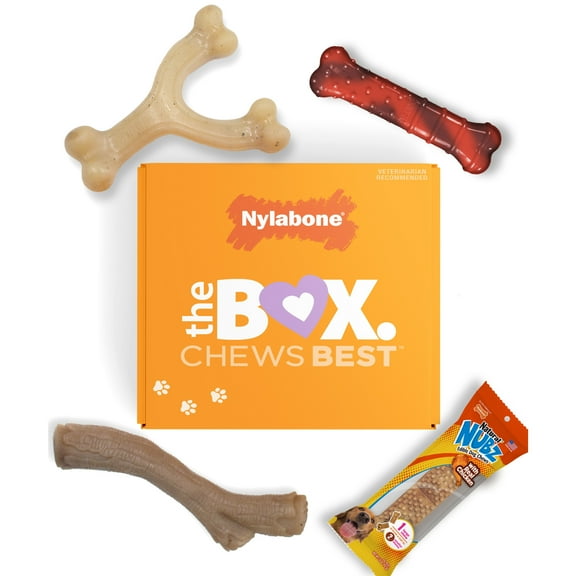 Nylabone The Box - Chew Toys & Treat Dog Gift Box Variety Small (4 Count)