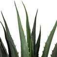 thumbnail image 3 of Northlight 31.5" Aloe Succulent Artificial Potted Plant - Green, 3 of 7