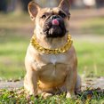 thumbnail image 4 of CRAFTHROU 1Set Pet for Small Dog and Cat Metal Accessory for Pet Lovers, 4 of 6
