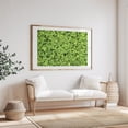 thumbnail image 4 of Clover all Over - Marshall Michigan Photography Nature Botanical Garden Floral Pattern Wilderness Scenic Unframed Wall Art Print 6 x 8 inches, 4 of 7