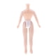thumbnail image 3 of Cuerpo Desnudo de Reemplazo para Muñecas Blythe Pequeña - Juguete para Niños, 3 of 7