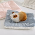 Eisoary Guinea Pig Cage Liner Bed Winter Warm Plush Pad Hamster Nest