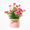 thumbnail image 6 of AFQH Artificial Potted Flowers Fake Potted Plants Plastic Faux Flowers for Home Decor, 6 of 10