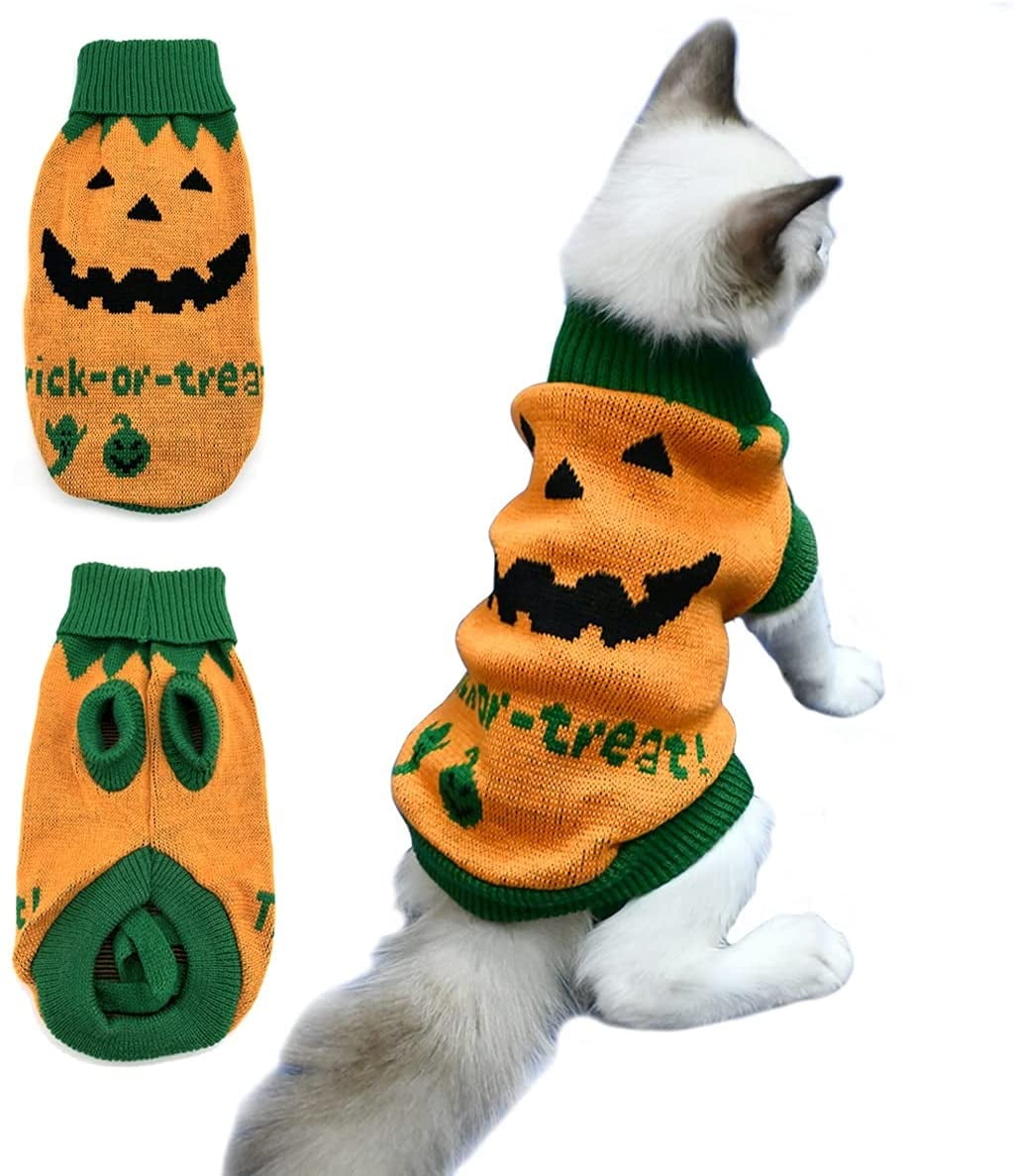 cat sweater halloween