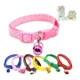 thumbnail image 3 of Collar Para Perro Y Gato Lm Razas Pequeñas (12 Piezas), 3 of 7