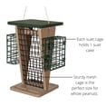 thumbnail image 3 of JCs Wildlife Whole Peanut and Suet Feeder - Woodpecker, Chickadee Feeder, 3 of 8