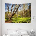 thumbnail image 1 of Nature Tapestry, Spring Forest Flower Field and Trees Dreamy Eco in Sunny Bright Sky Landscape, Wall Hanging for Bedroom Living Room Dorm Decor, 80W X 60L Inches, Yellow Blue Brown, by Ambesonne, 1 of 2
