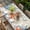 beige, variant on Orange Blue Starfish Coastal Table Cloths for 8 Foot Rectangle Tables, Summer Beach Eucalyptus Vintage Patio Waterproof Elastic Fitted Tablecloths, Washable Rectangular Table Cover for Camping