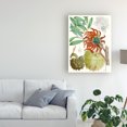 thumbnail image 3 of Trademark Fine Art 'Tropical Variety IV' Canvas Art by Curtis, 3 of 3